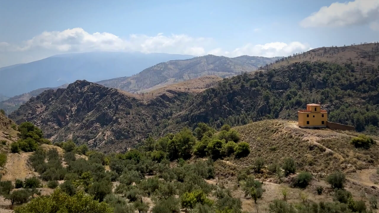 The Land - The Free Folk Project